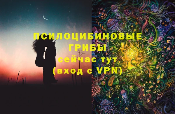 стафф Абаза