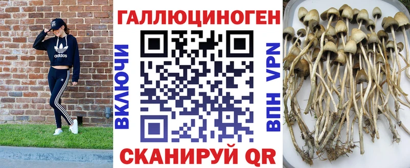 магазин  наркотиков  Железноводск  Галлюциногенные грибы Magic Shrooms 