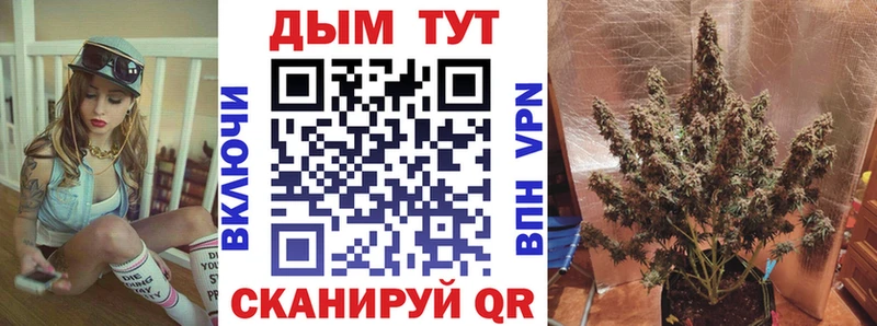 Конопля SATIVA & INDICA  Железноводск 